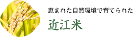 恵まれた自然環境で育てられた 近江米